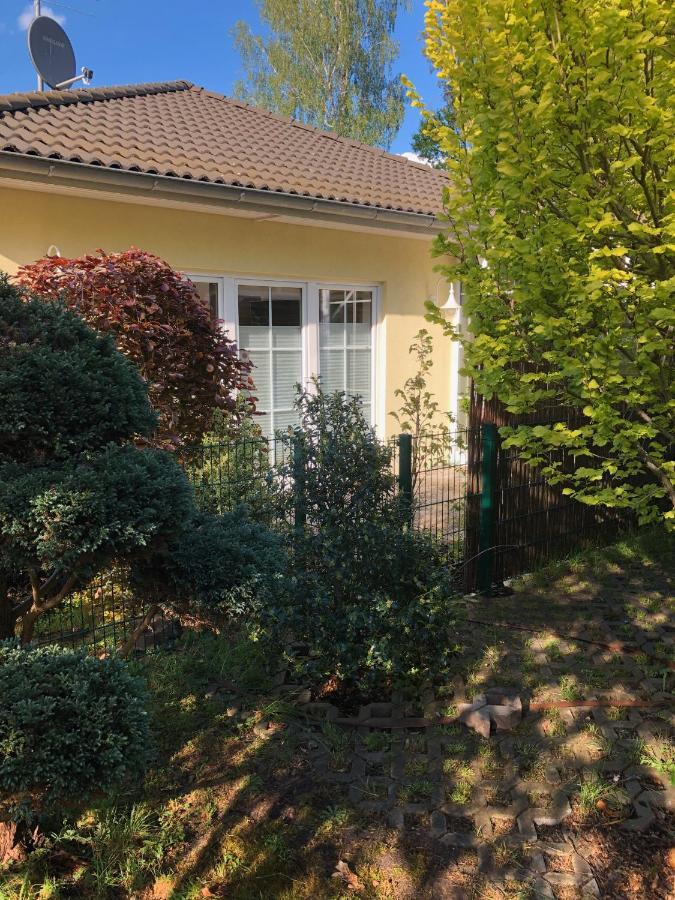 Ferienhaus Blaumond Mit Gartensaunaヴァンドリッツ エクステリア 写真
